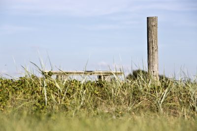 20120820Y61A2909